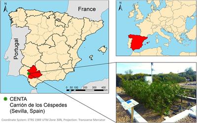 Assessing METland® Design and Performance Through LCA: Techno-Environmental Study With Multifunctional Unit Perspective